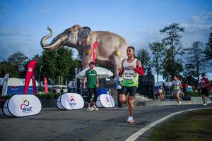 BIB: 
                            <button type="button" onclick="openModal(26541920)" class="btn btn-primary btn-sm float-right btn-popup" data-toggle="modal" data-target=".modal-high-quality">
                        <i class="fas fa-shopping-cart"></i> Add to Cart
                    </button>
                                            <button type="button" onclick="isThisMe(26541920, true)" class="btn btn-success btn-sm float-right btn-popup btn-isme hidden" data-toggle="tooltip" data-placement="bottom" title="นี่คือรูปของคุณใช่ไหม คลิกที่นี่เพื่อเอาเข้าอัลบั้ม">
                        <i class="fas fa-plus"></i> Add to album
                    </button>
                    <button type="button" onclick="isThisMe(26541920, false)" class="btn btn-warning btn-sm float-right btn-popup btn-isnotme hidden">
                        <i class="fas fa-ban"></i> Remove from album
                    </button>